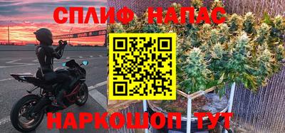 прущие крисы Новодвинск