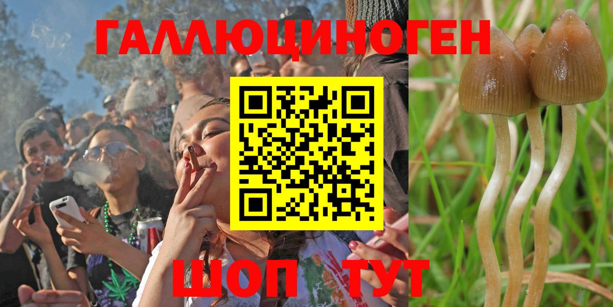 Солнечногорск  Галлюциногенные грибы Magic Shrooms  Вход с VPN 