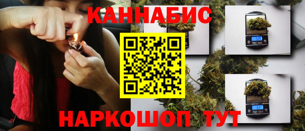 Бошки Шишки план Солнечногорск